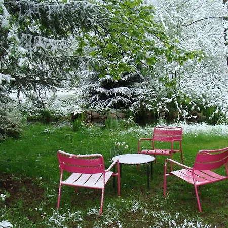 Hotel Am Bach Hinterzarten