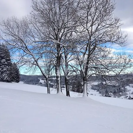Am Bach Hotel