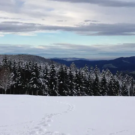 Am Bach 3* Hinterzarten