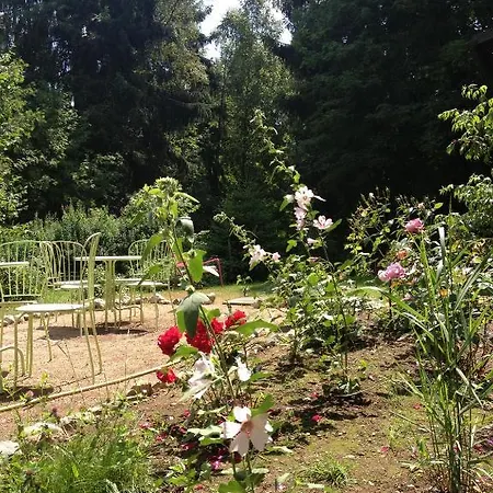 Hotel Am Bach 3*
