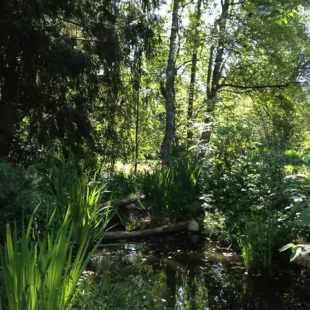 Am Bach 3* Hinterzarten