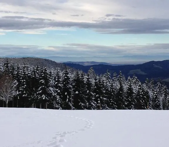 Am Bach 3* ヒンターツァルテン