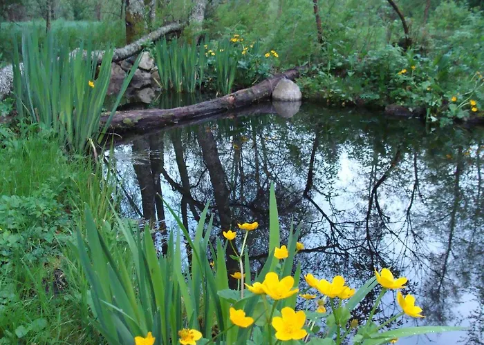 Am Bach ホテル 3*