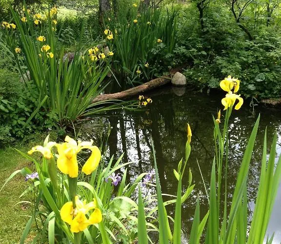 Am Bach 3* ヒンターツァルテン